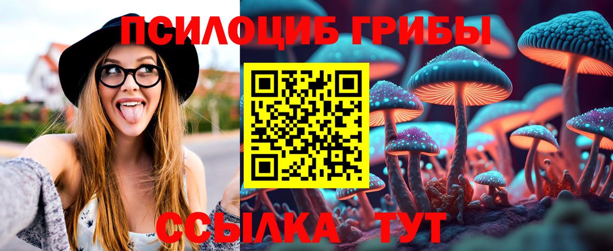 Псилоцибиновые грибы GOLDEN TEACHER Междуреченск